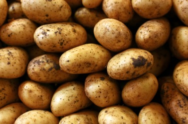 A pile of potatoes.